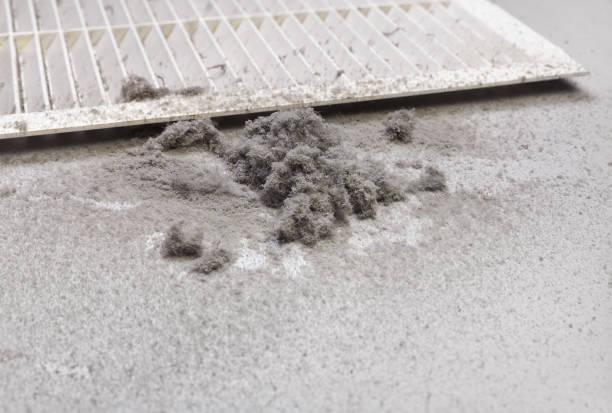 Best Air Duct Cleaning Near Me  in Edgewater, MD