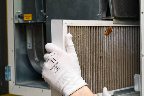 Best Air Duct Cleaning Near Me  in Edgewater, MD