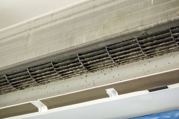  Edgewater, MD Airduct Cleaning Pros