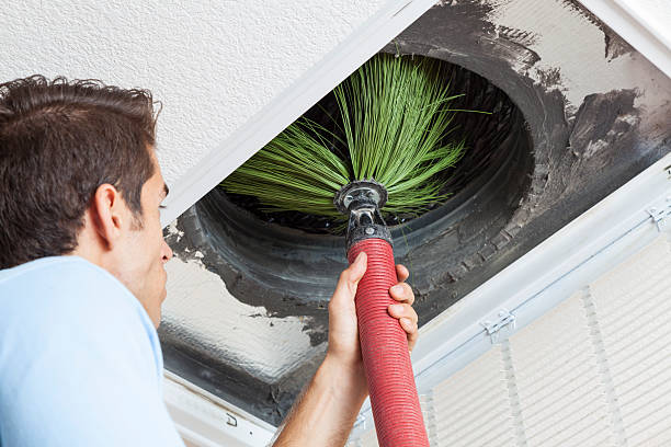 Best Emergency Air Duct Cleaning  in Edgewater, MD