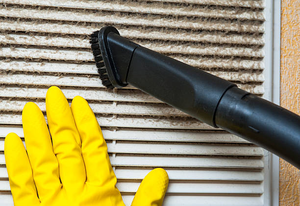 Best Air Duct Mold Removal  in Edgewater, MD